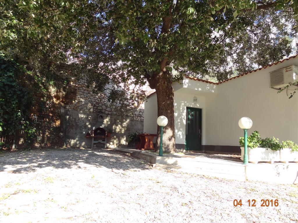 Holiday House Zorra Živogošće 외부 사진
